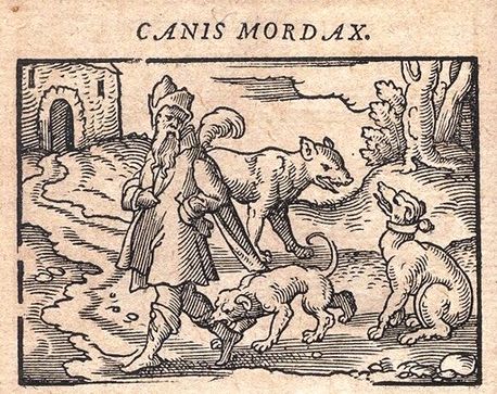 The Mischievous Dog (here called 'the dog that bites') in Phryx Aesopus Habitu Poetico by Hieronymus Osius, 1574 Perry332 osius.jpg