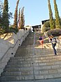 PikiWiki Israel 49797 entertainment.jpg