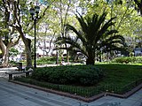 Plaza Pringles Rosario 3.jpg