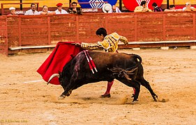 Plaza de toros de valencia 2014.jpg