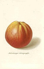 Pom.Mon.Hefte 1867 Meklenburger Königsapfel.jpg
