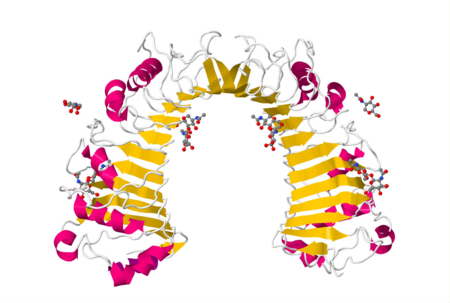 CD14