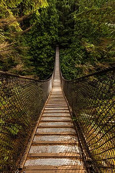 Ponte suspensa no Parque do Desfiladeiro Lynn, Vancouver, Canadá. A ponte, construída em 1912, pende a uma altura de 50 m sobre o fundo do desfiladeiro (definição 5 726 × 8 589)