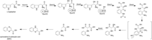 Proposed biosyntheis of the chormophore in echinomycin and other quinomycin-type antibiotics. QXC biosynthesis.png