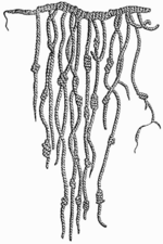 150px-Quipu.png