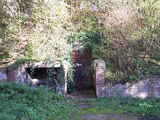 <span class="mw-page-title-main">Watnall railway station</span> Former railway station in Nottinghamshire, England