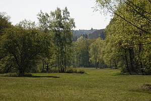 Meadows in the Rabengrund