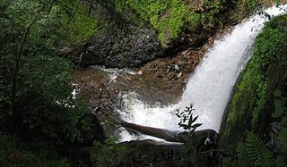 <span class="mw-page-title-main">Ravenna Gorge</span>