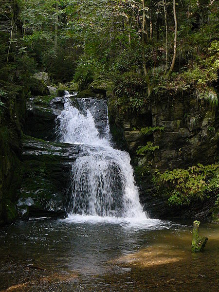 File:Rešovské vodopády i).JPG