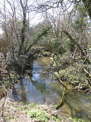 <span class="mw-page-title-main">River Sence, Wigston</span> River in east Leicestershire, England