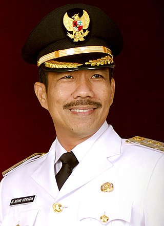 <span class="mw-page-title-main">Romi Herton</span> Indonesian politician and businessman