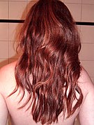 Human hair color - Wikipedia