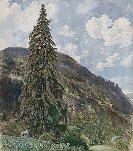 Le Vieux Sapin à Bad Gastein (1899), Vienne, musée Leopold.