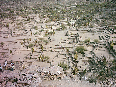 Pueblos Indígenas De Argentina: Definición, Historia, Población indígena censada o estimada