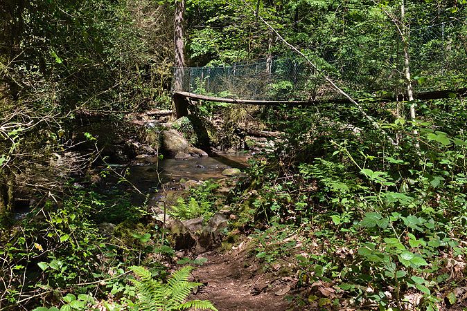 Français : Passerelle sur le ruisseau de Bardes, près d'Arifat, Tarn, France. English: Footbridge on stream of Bardes, near Arifat, Tarn, France.