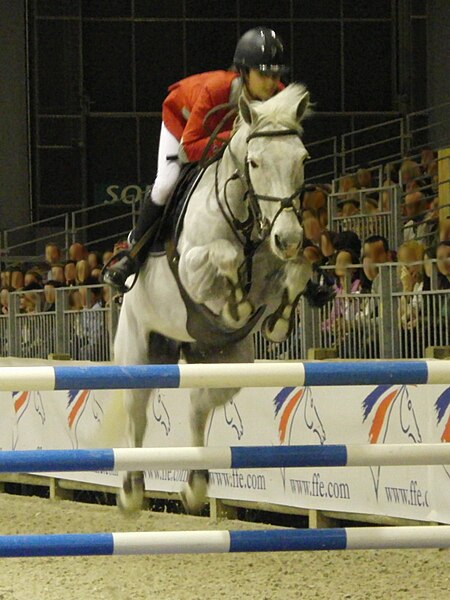 File:SDCH2013-PFS-As-poney.JPG