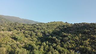 Sakesar mountain in Pakistan