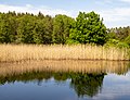 * Nomination Pond near Saltendorf --Ermell 09:49, 22 May 2022 (UTC) * Promotion  Support Good quality. --George Chernilevsky 10:07, 22 May 2022 (UTC)