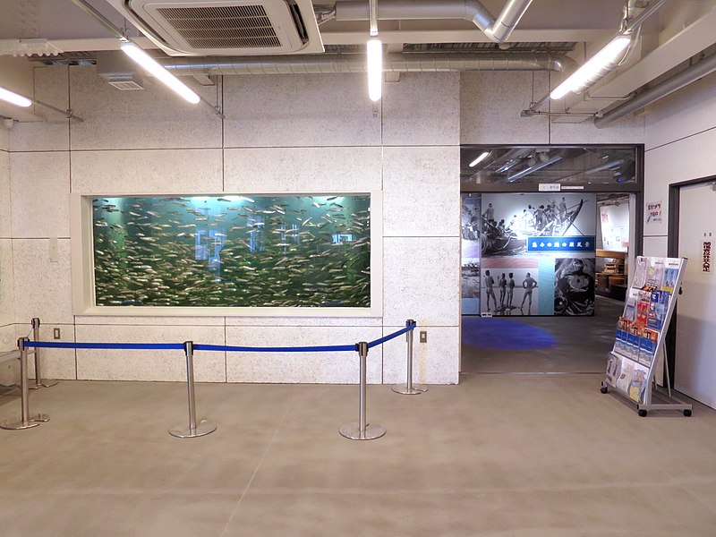 File:Sardine Center, Sardine Museum entrance in 2015-07-31.jpg