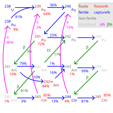 Production of heavy transuranic actinides in current thermal-neutron fission reactors through neutron capture and decays. Starting at uranium-238, isotopes of plutonium, americium, and curium are all produced. In a fast neutron-breeder reactor, all these isotopes may be burned as fuel. Sasahara.svg