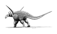 Sauropelta Sauropelta jconway.png