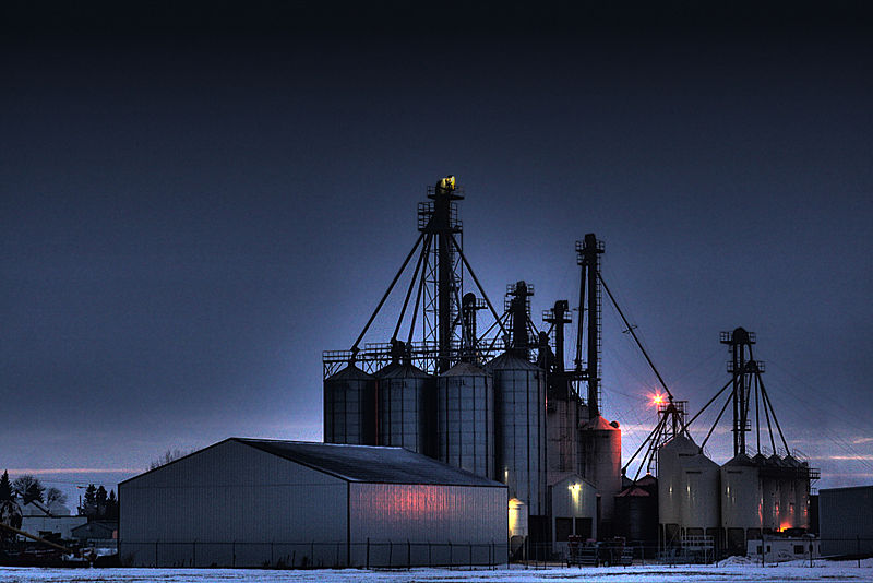 File:Seed-Grain-Plant-Wetaskiwin-Alberta-Canada-03-A.jpg