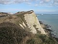 Thumbnail for File:Shakespeare Cliff - geograph.org.uk - 2290614.jpg