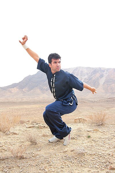 File:Shaolin Kung Fu In Iran- Photo By 2007-Mostafa meraji 05.jpg