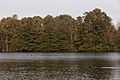 * Nomination Schrock Lake in Fall -- Sixflashphoto 03:08, 29 October 2017 (UTC) * Promotion Seven birds on top of the lake. Well captured. Good quality. -- Johann Jaritz 03:13, 29 October 2017 (UTC)