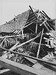 Tobacco barn in Connecticut, 1938, by Sheldon Dick Sheldon Dick New England Hurricane.jpg