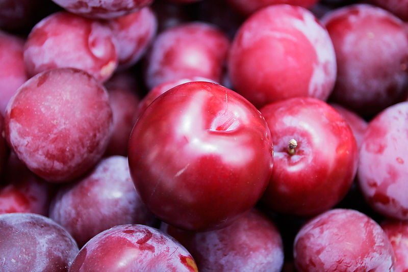 File:Shiny plum.jpg