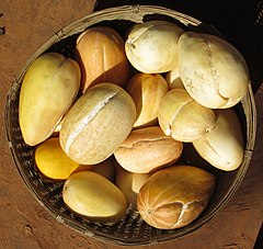 A basket of landrace snap melons Cucumis melo subspecies agrestis, cultivar group Momordica from Pemba town, northern Mozambique. The landrace incorporates different colours and patterns of the fruit surface and is the only melon cultivar group in northern Mozambique. Snap melon - ("phoot") (8685833094).jpg