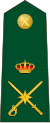 Spain-Civil Guard-OF-6.svg