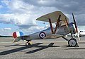 Nieuport 24