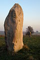 Standing stone, Kennet Avenue - geograph.org.uk - 1098498.jpg