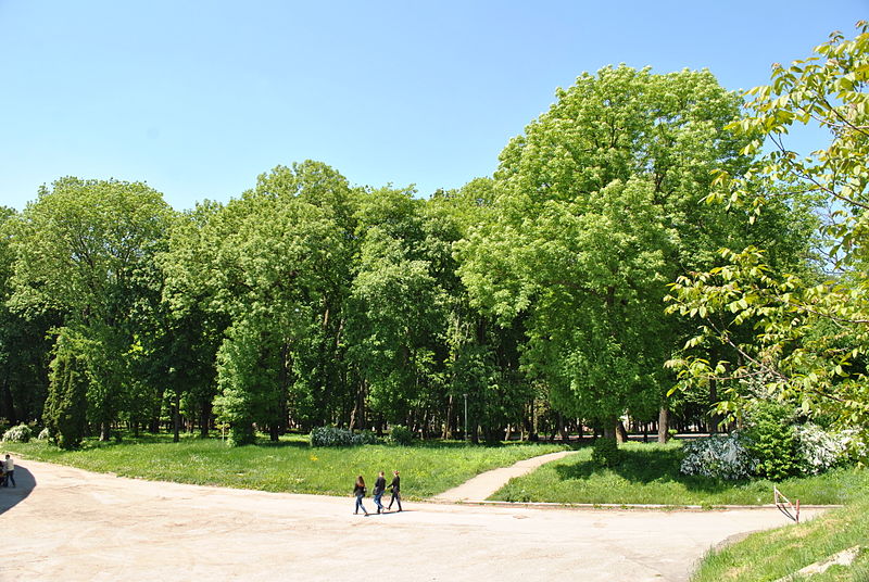 File:Staryi-Park-15057143.jpg