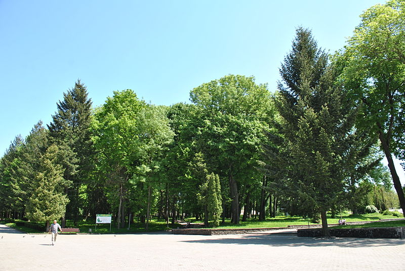 File:Staryi-Park-15057206.jpg