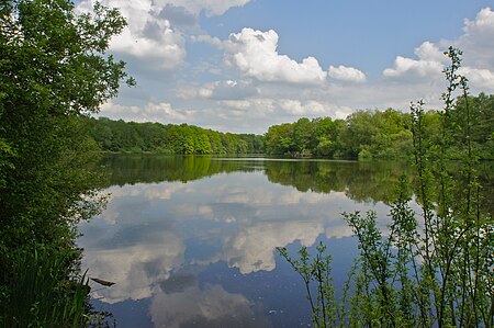 Steilshoop Braamfelder See