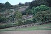 Stone bar landscape Weikersheim 04.JPG