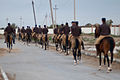 Studfarm in Turkmenistan - Flickr - Kerri-Jo (120).jpg