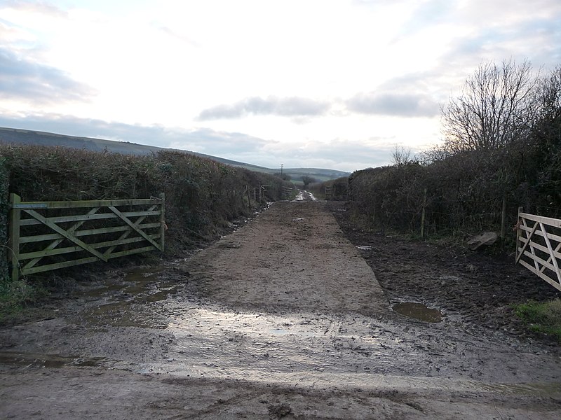 File:Studland , Farm Track - geograph.org.uk - 1712525.jpg