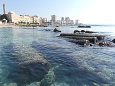 SubmergedEgyptianHarbour TyreSour Lebanon RomanDeckert04112019.jpg