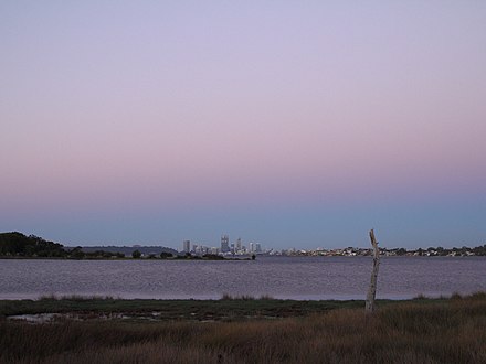 Swampy wetlands between Perth and Guildford have been reclaimed for land development, however this one still remains. The Perth skyline can be seen in the far distance.
