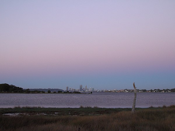 Swampy wetlands between Perth and Guildford have been reclaimed for land development; however, this one still remains. The Perth skyline can be seen i