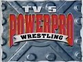 Thumbnail for Power Pro Wrestling