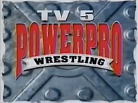 Power Pro Wrestling logo