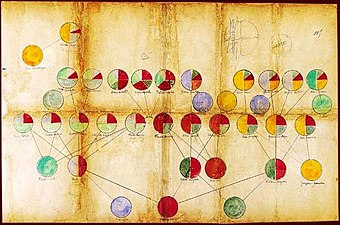 作者と親交があった植物学者のジョルジュ・プーシェによって数学的に分析された系図。これは「パスカル博士」の草稿に含まれていたもので、上の祖先から受け継がれた要素が同じ色で示されている[2]。