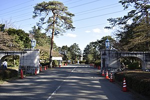 多磨霊園: 歴史, 概況, 埋葬されている著名人等