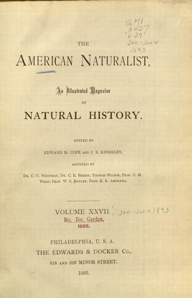 File:The American naturalist. (IA mobot31753002156682).pdf