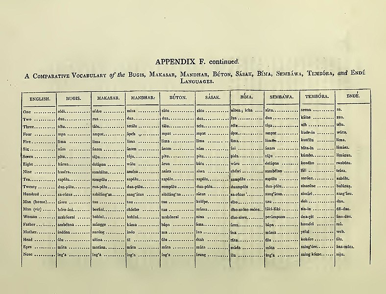 File:The history of Java (page 576 crop) - Comparative vocabulary of the Bugis, Makasar, Mandhar, Buton, Sasak, Bima, Sembawa (Sumbawa), Tembora (Tambora), Ende languages.jpg